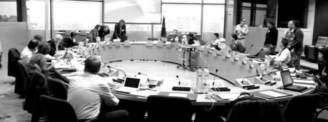 Ocak 2012′de düzenlenen son çalışma grubu toplantısı, Brüksel